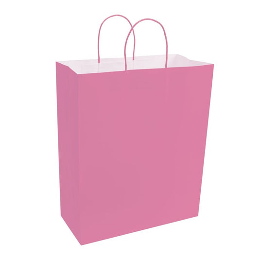 PAPER BAGS WITH HANDLES FOR FAVORS & GIFTS 16Inc 12Pcs PINK Party Place Miami